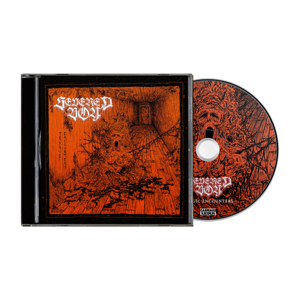 Severed Boy - Tragic Encounters CD Online now
